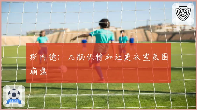 斯内德：几瓶伏特加让更衣室氛围崩盘
