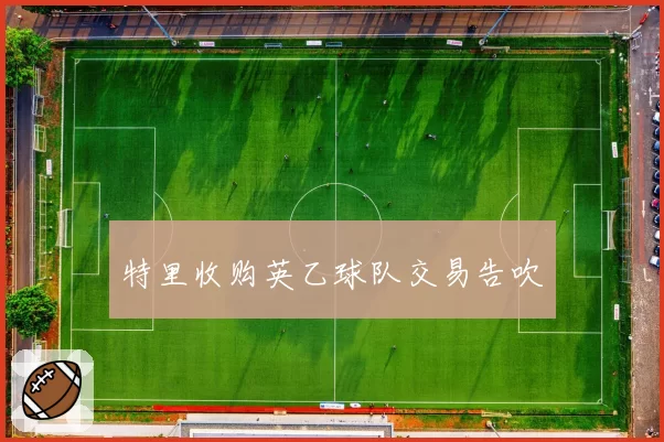 特里收购英乙球队交易告吹